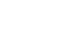 Левайн Логістик